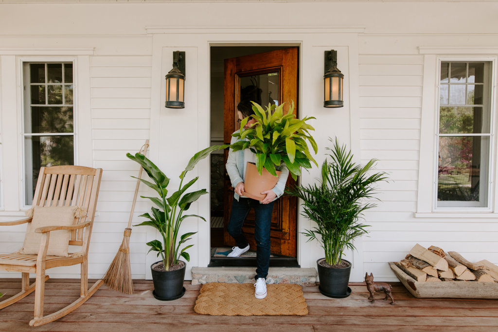 Moving Indoor Plants Outside for the Summer