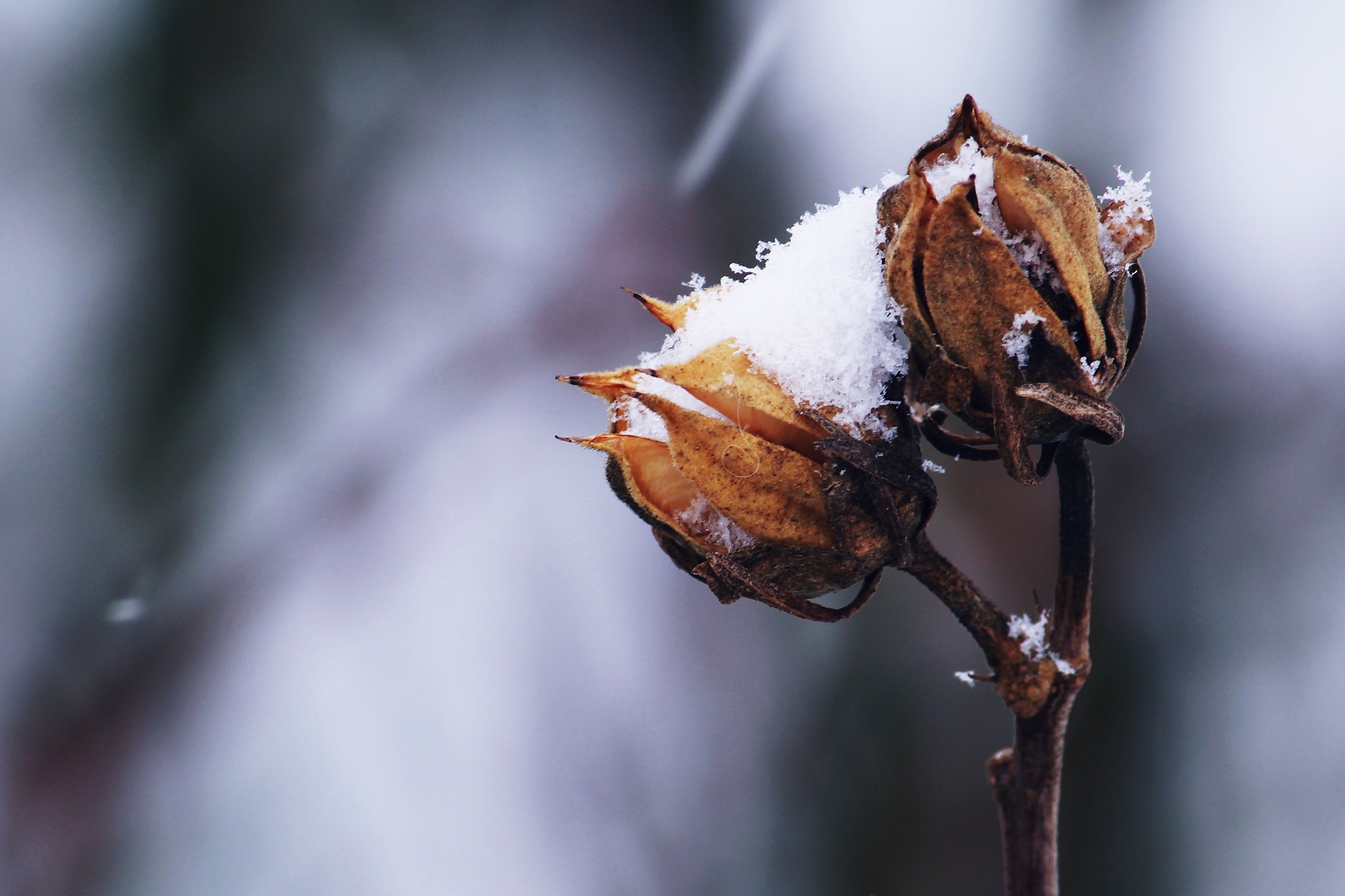 5 Strategies to Get Your Yard “Restore” Throughout the Winter