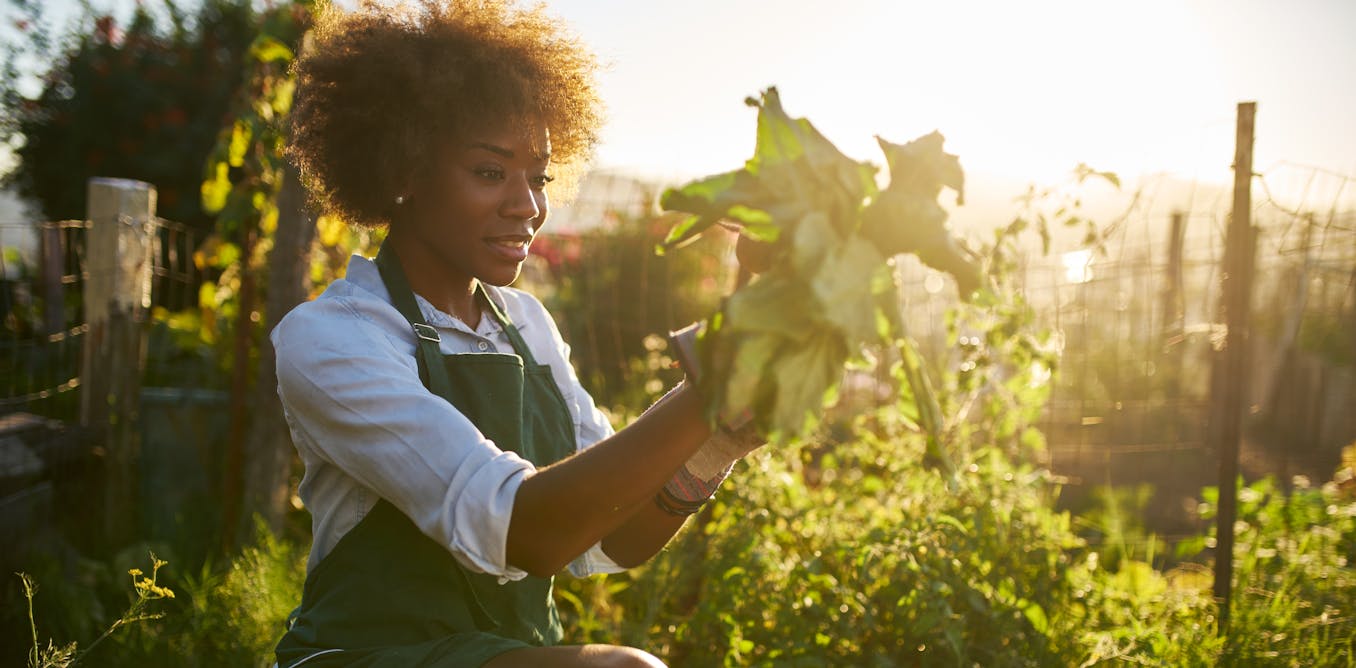 why medical docs are prescribing gardening comparatively than medication