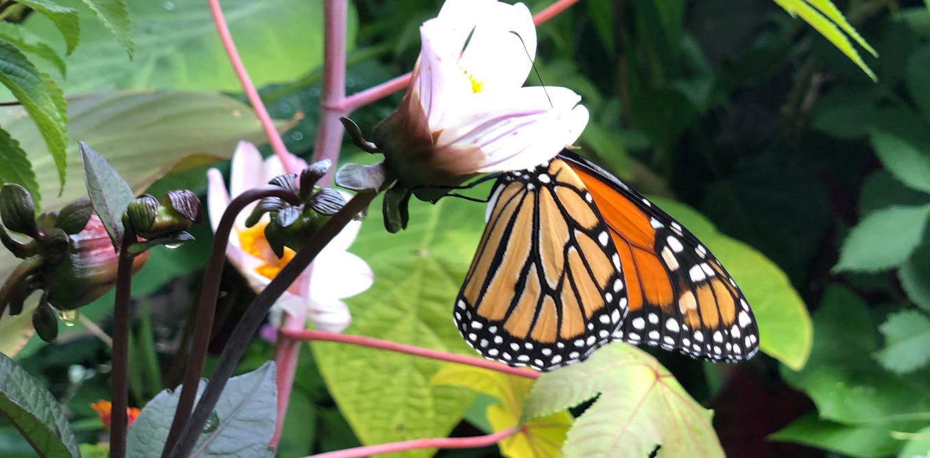 Group and school gardens don’t magically sprout bountiful benefits