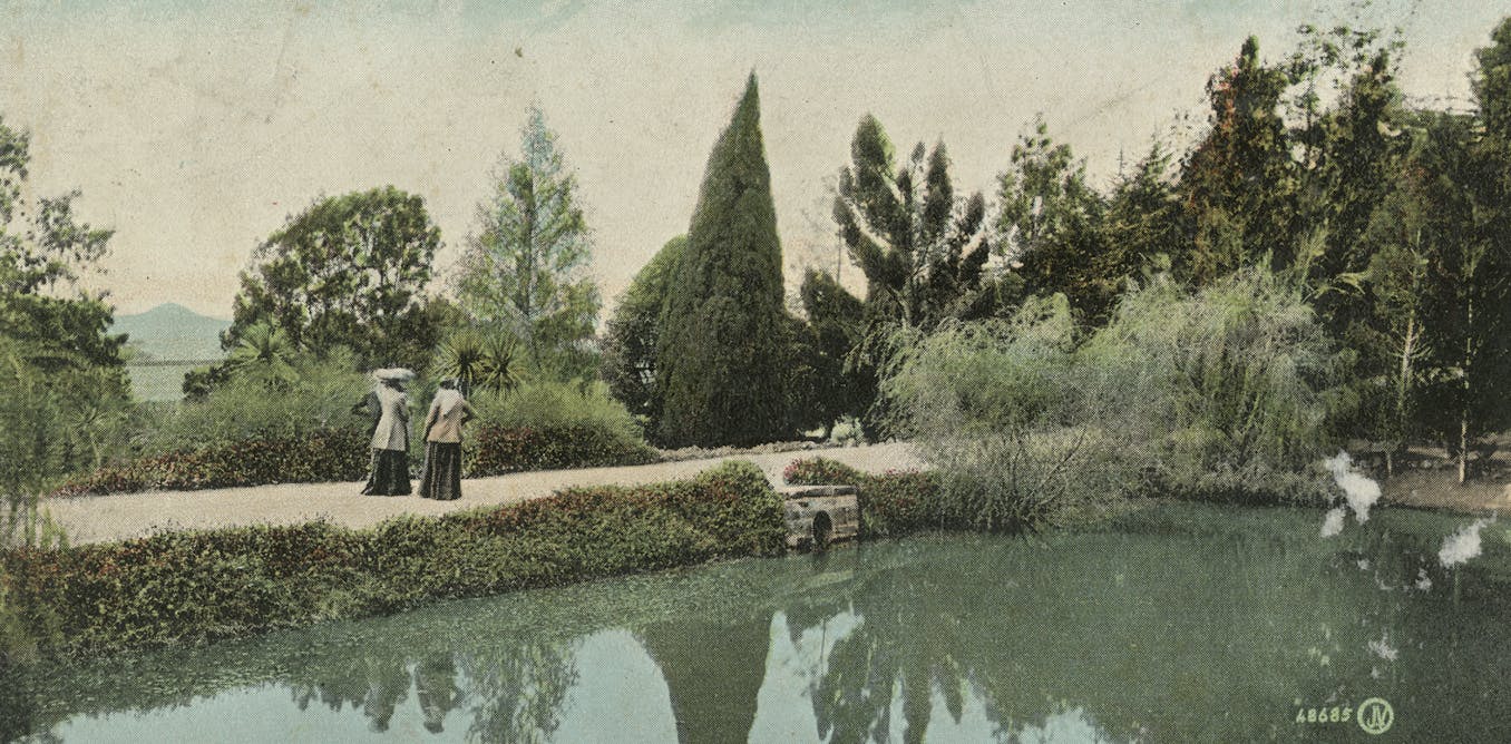 Most of the people historic previous, native climate change present, and attainable approach ahead for Australia’s botanic gardens